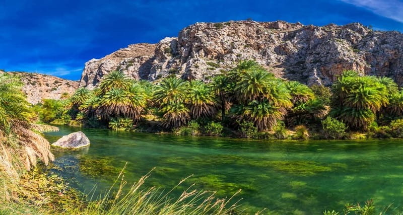 From Rethymno/Chania: Day Trip to Preveli Palm Beach - Pickup From Rethymno or Chania