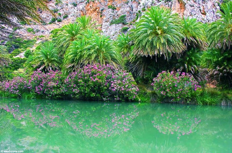 From Rethymno/Chania: Day Trip to Preveli Palm Beach - Kourtaliotiko Gorge and Its Cold Springs