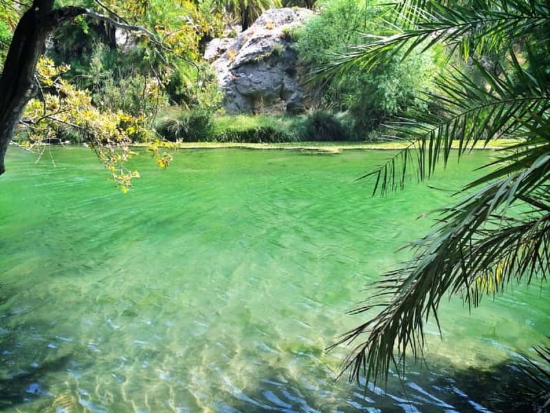 From Rethymno/Chania: Day Trip to Preveli Palm Beach - Shared Coach or Private Group