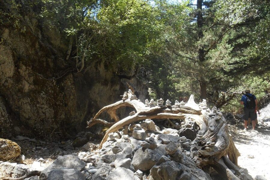 From Rethymno/Chania: Imbros Gorge Hike - Why Imbros Gorge makes a good Crete day trip