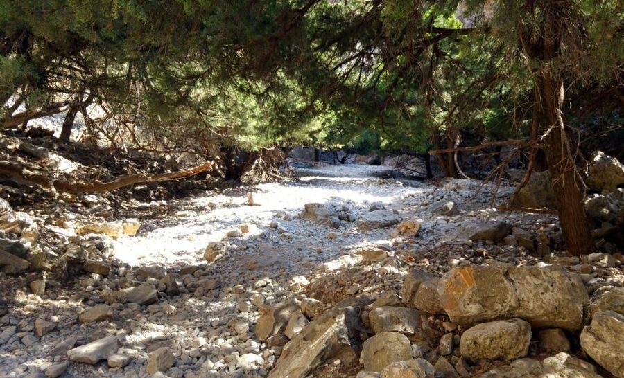From Rethymno/Chania: Imbros Gorge Hike - Walking through the gorge from Imbros to Komitades