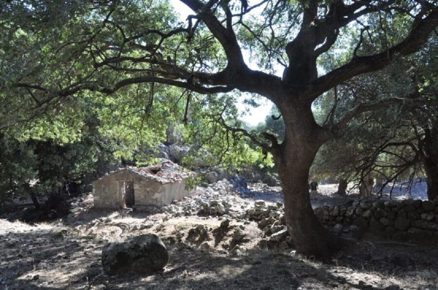From Rethymno/Chania: Imbros Gorge Hike - What the final stretch and gorge exit feel like