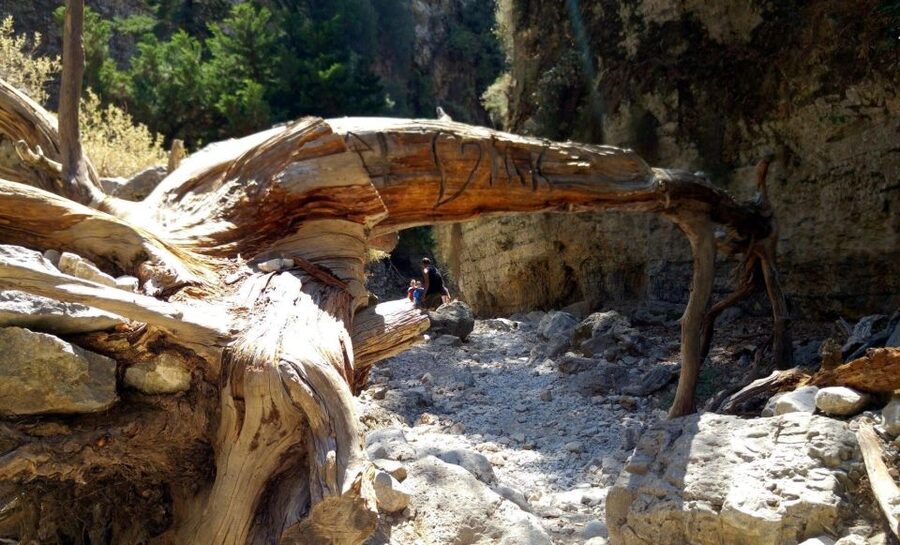 From Rethymno/Chania: Imbros Gorge Hike - Transport, guiding, and how organized the day feels