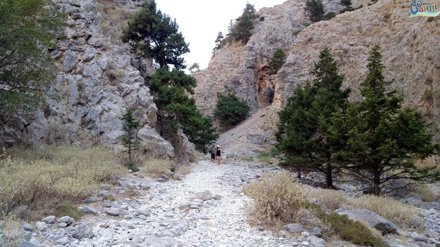 From Rethymno: Imbros Gorge & Libyan Guided Sea Tour - Who should book this tour?