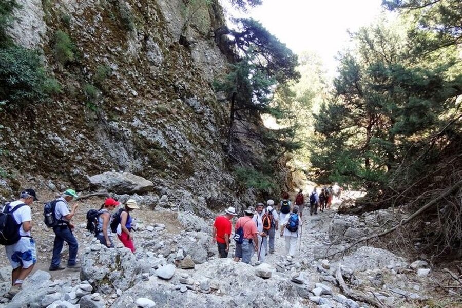 From Rethymno: Imbros Gorge & Libyan Guided Sea Tour - Swimming and lunch on Crete’s south coast