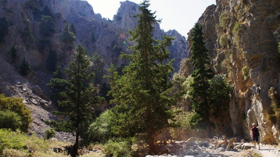 From Rethymno: Imbros Gorge & Libyan Guided Sea Tour - Guides, languages, and the value of clear direction