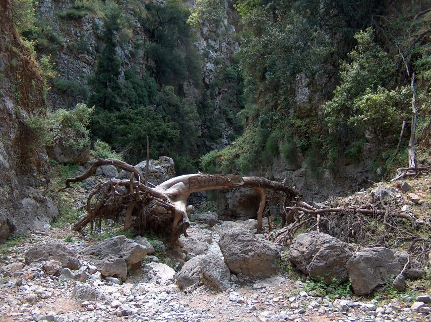From Rethymno: Imbros Gorge & Libyan Guided Sea Tour - What to pack for the gorge and sea