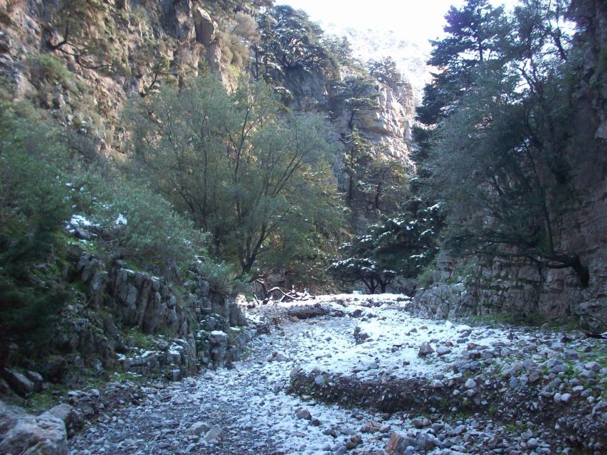 From Rethymno: Imbros Gorge & Libyan Guided Sea Tour - The early ride from Rethymno to the gorge