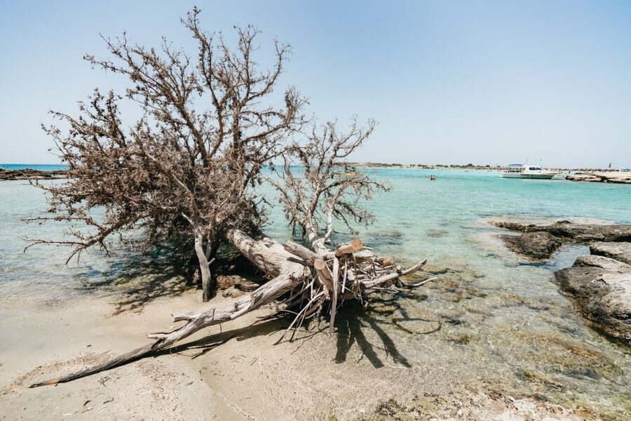 From Rethymno/Kavros: Elafonissi Pink Sand Beach Tour - Elos gives you a first taste of village Crete