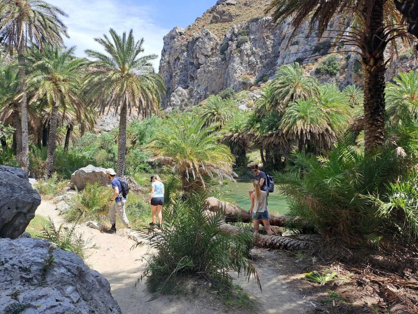 From Rethymno: Kourtaliotiko, Preveli Palm Beach, & Damnoni - Guides, buses, and the pace of the day