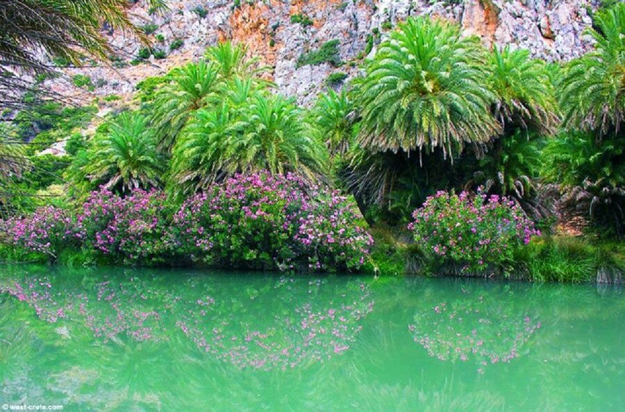From Rethymno: Preveli Palm Beach and Kourtaliotiko Day Trip - Arriving at Preveli by sea