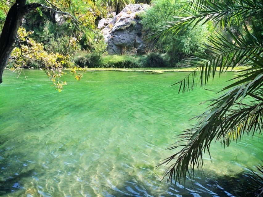 From Rethymno: Preveli Palm Beach and Kourtaliotiko Day Trip - How the $25 price measures up