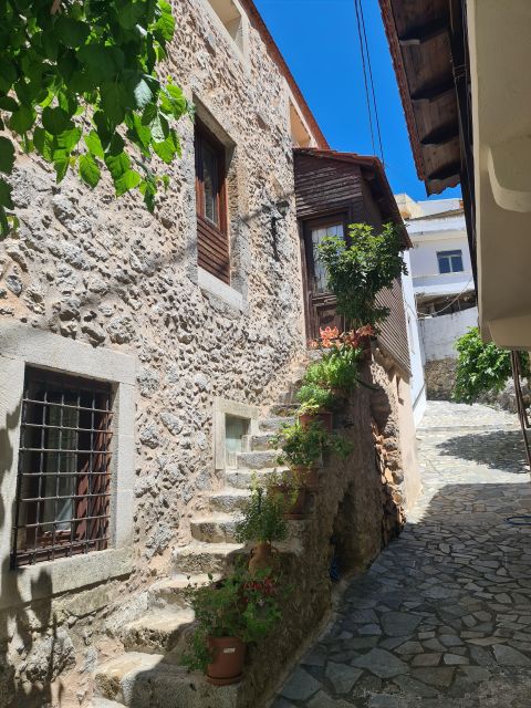 From Rethymno private full day tour to the south - Kourtaliotiko Gorge and the walk to the springs