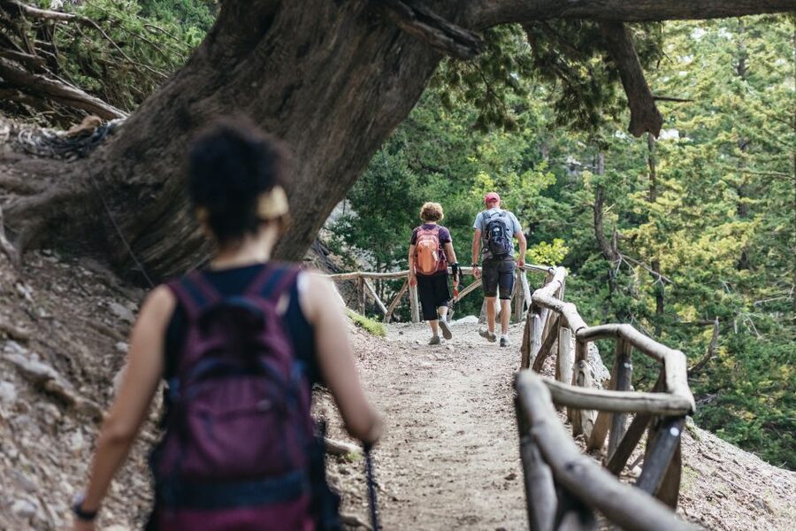 From Rethymno: Samaria Gorge Full-Day Trek, Pickup & Guide - The ferry from Agia Roumeli to Sfakia