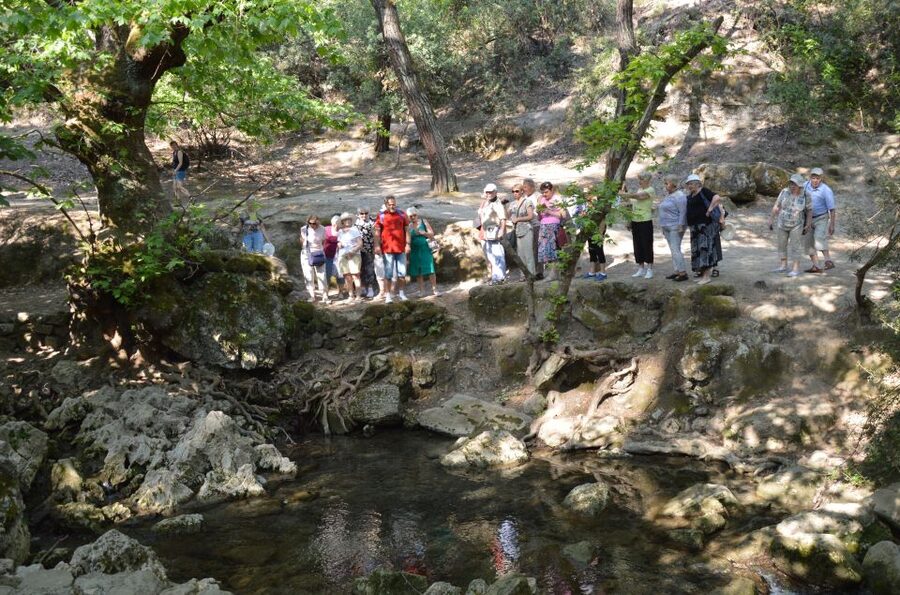 From Rhodes: Bus Tour to Lindos and the Seven Springs - Three hours in Lindos, your main event