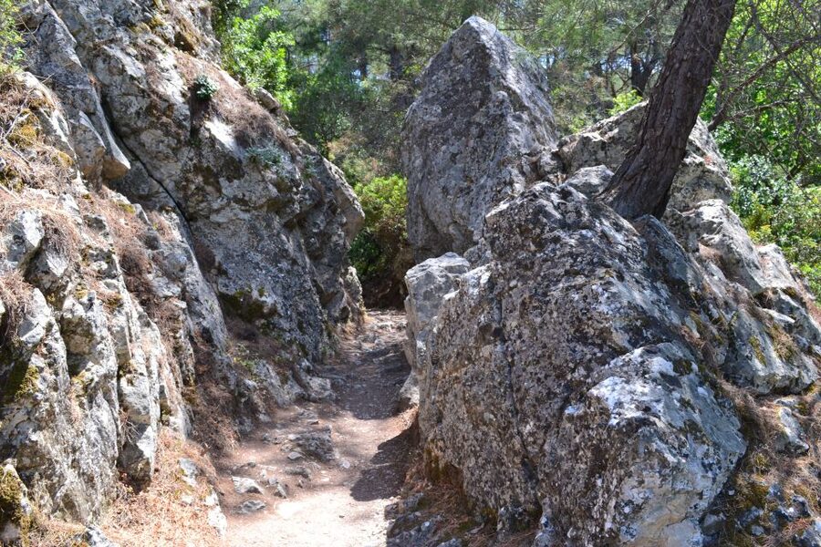 From Rhodes: Lindos and 7 Springs Valley Bus Tour - Is $31 good value?