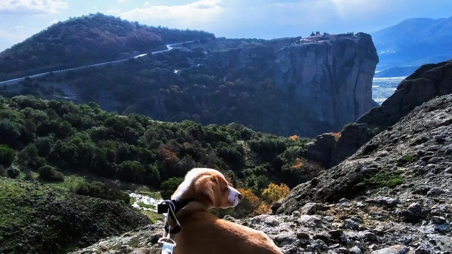 From Thessaloniki: Meteora Small Group Day Trip - Who should book this Meteora day trip?