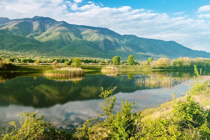 From Thessaloniki: Private Day Trip to Kerkini Lake - The optional boat ride is worth considering