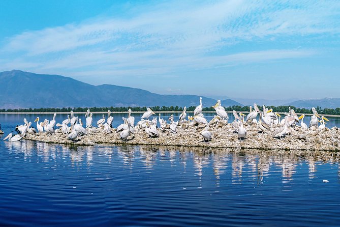 From Thessaloniki: Private Day Trip to Kerkini Lake - What the guides add to the day