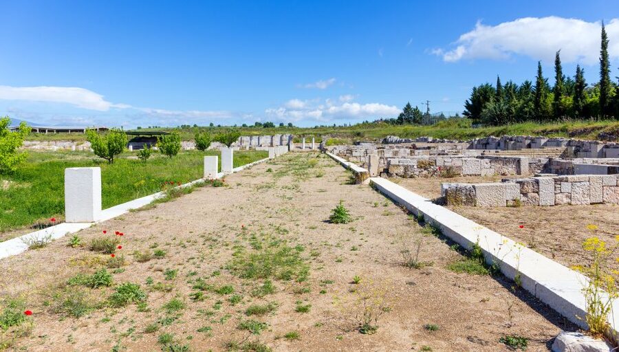 From Thessaloniki: Vergina & Veria Half-Day Tour - The optional Royal Palace visit and one hour of free time