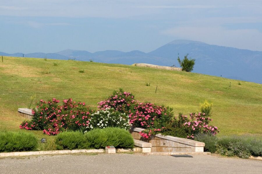 From Thessaloniki: Vergina & Veria Half-Day Tour - Practical tips for making the most of the morning