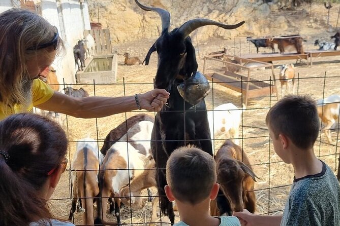 Full Day 4x4 Self-Drive Safari Tour in Crete with BBQ Lunch - Krasi and its 2,000-year-old plane tree