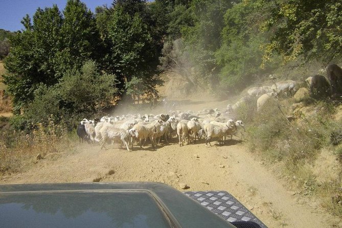 Full-Day Land Rover Safari from Heraklion with Lunch - A long lunch at a local taverna