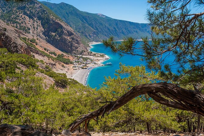 Full-Day Samaria Gorge Chania Guided Tour - Guides, communication, and group size