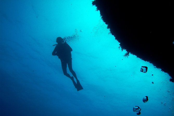 (Full day)Scuba Diving in Rhodes - Your first underwater session