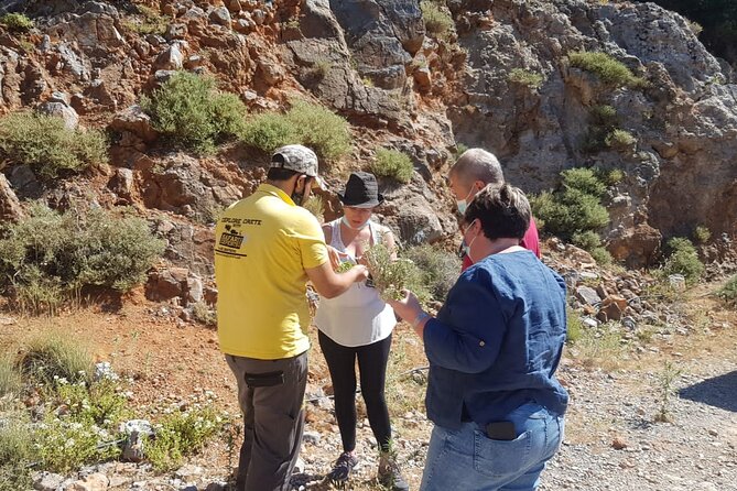 Full-Day Small-Group Tour in Crete with Zeus Cave Visit - Lasithi Plateau and the famous line of windmills