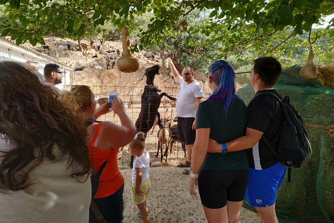 Full-Day Small-Group Tour in Crete with Zeus Cave Visit - Potamies farm: a useful start to the day