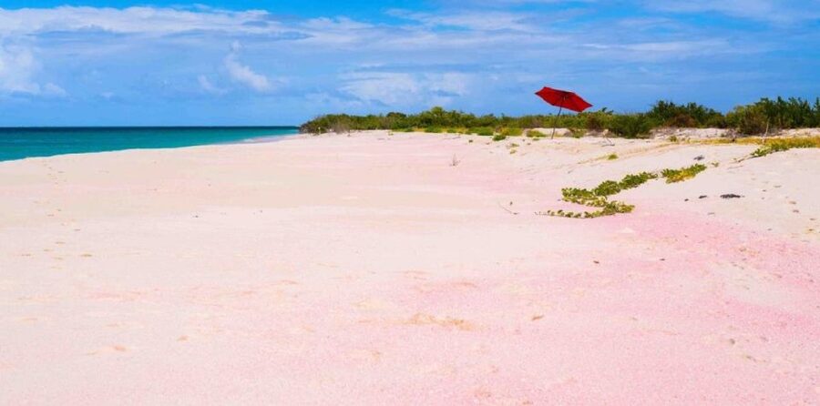 Georgioupolis Area: Full-Day Bus Trip to Elafonisi Island - Key points before you book
