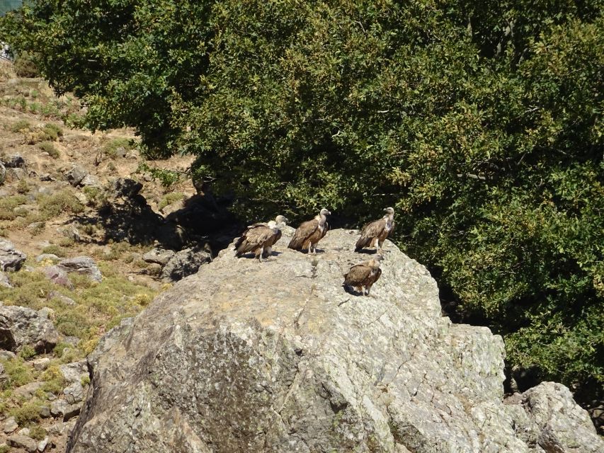 Georgioupolis Full-Day Land Rover Safari Experience - Why this safari shows you more of Crete in one day