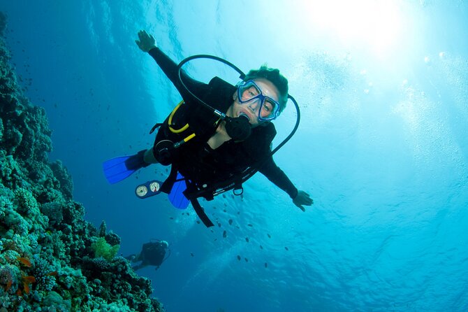 Half day boat diving experience for beginners in Kos Greece - Why Pserimos works so well for a first scuba session
