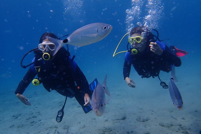 Half day boat diving experience for beginners in Kos Greece - Who should book this Kos boat experience