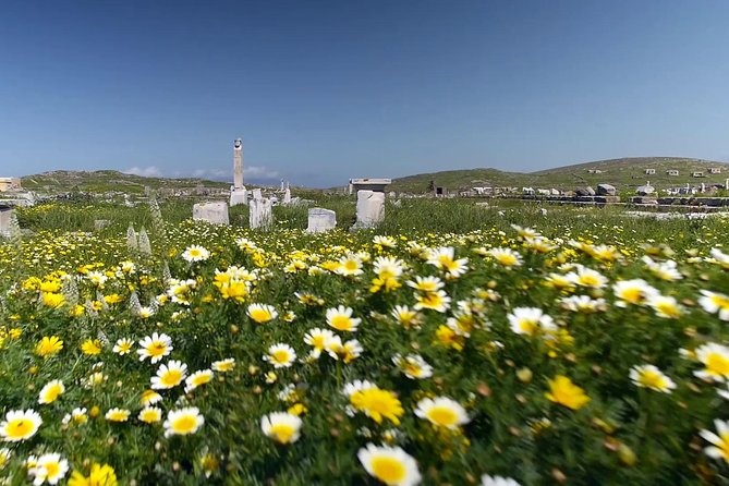 Half-Day Delos Tour from Mykonos - The sanctuary of Apollo and the marble lions