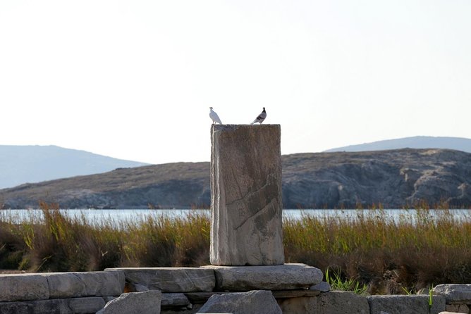 Half-Day Delos Tour from Mykonos - Museum time and the problem of a short schedule
