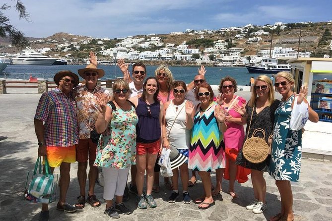 Half-Day Highlights of Mykonos Tour - The guides make the difference