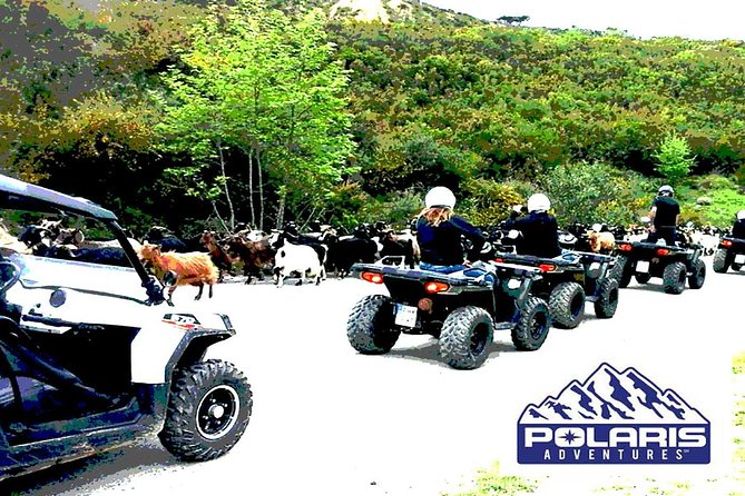 Half-Day Rethymno Quad Safari - What riding the quad is really like