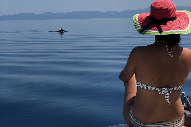 Halkidiki: Sithonia Private Full Day Cruise - Why Sithonia is best seen from a boat