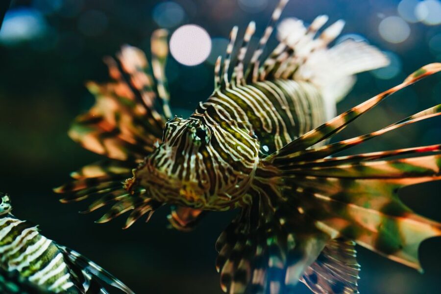 Heraklion Area: CRETAquarium Admission Ticket - What You See Inside the 60 Habitats