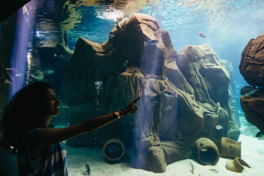 Heraklion Area: CRETAquarium Admission Ticket - Getting There From Heraklion, Malia, and Hersonissos