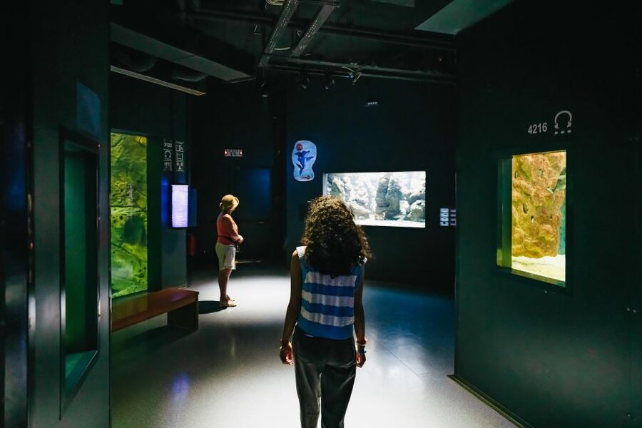 Heraklion Area: CRETAquarium Admission Ticket - Cafeteria, Gift Shop, and the Beach Nearby
