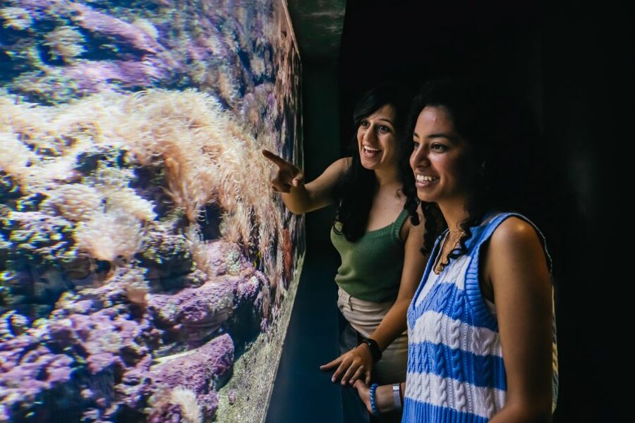 Heraklion Area: CRETAquarium Admission Ticket - Who Will Enjoy CRETAquarium Most