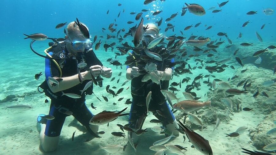 Heraklion: Beginner Scuba Diving Lesson with PADI Instructor - Why the six-person limit matters