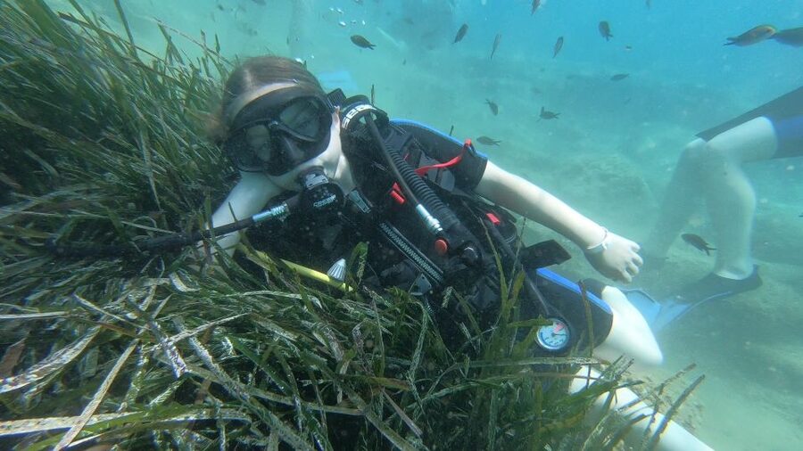 Heraklion: Beginner Scuba Diving Lesson with PADI Instructor - Families, nervous beginners, and certified divers