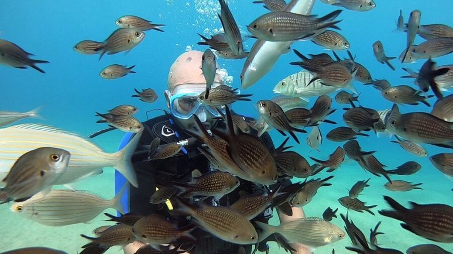 Heraklion: Beginner Scuba Diving Lesson with PADI Instructor - Is $88 a fair price?