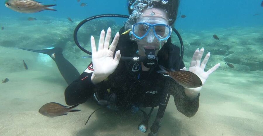 Heraklion: Beginner Scuba Diving Lesson with PADI Instructor - The journey from Heraklion to Agia Pelagia