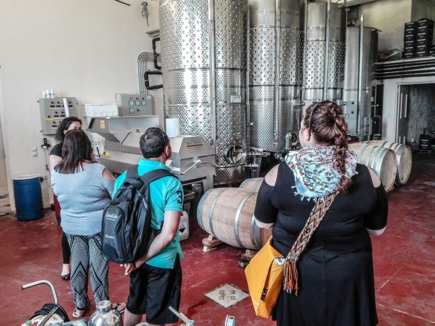 Heraklion: Cretan Wine Tasting Tour & Gourmet Lunch - Olive oil, cheese, honey, and preserves