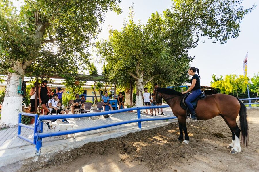 Heraklion: Finikia Horse Riding Tour with Lunch or Dinner - The farm lunch or dinner is more than an add-on